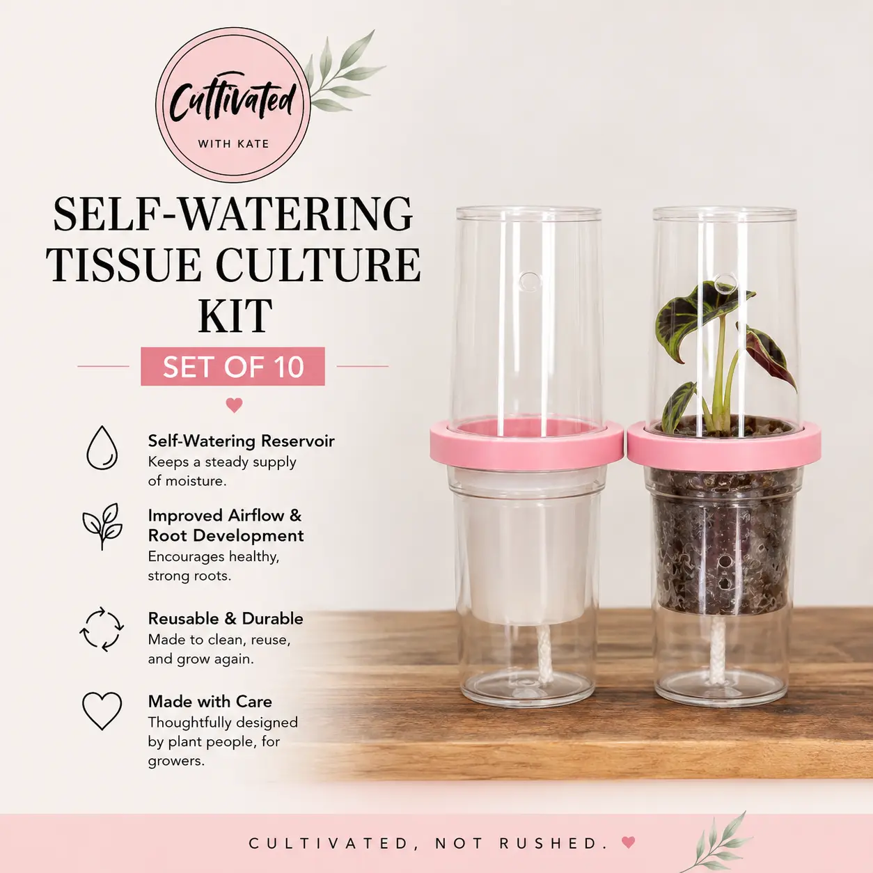 3D Printed Matte Finish Glow-in-Dark Self-Watering Tissue Culture Kit with Humidity Control, Set of 10 Garden Supplies