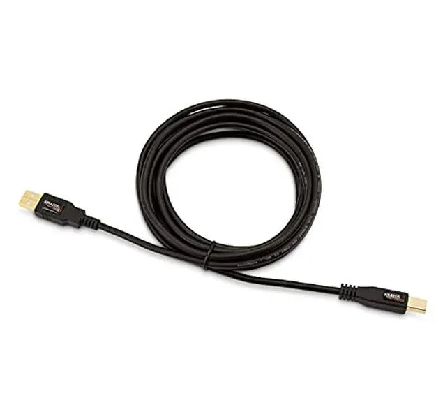USB-A to USB-B 2.0 Cable for Printer or External Hard Drive, Gold-Plated Connectors, Black, 10 Foot