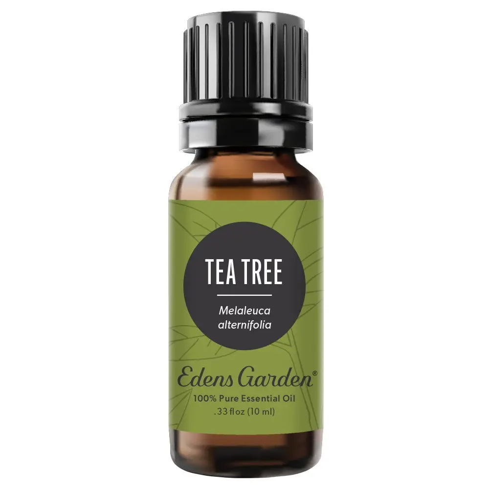 Tea Tree Essential Oil Tea Tree Essential Oil