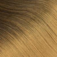 #BT1B/27 Ombre Honey Blond