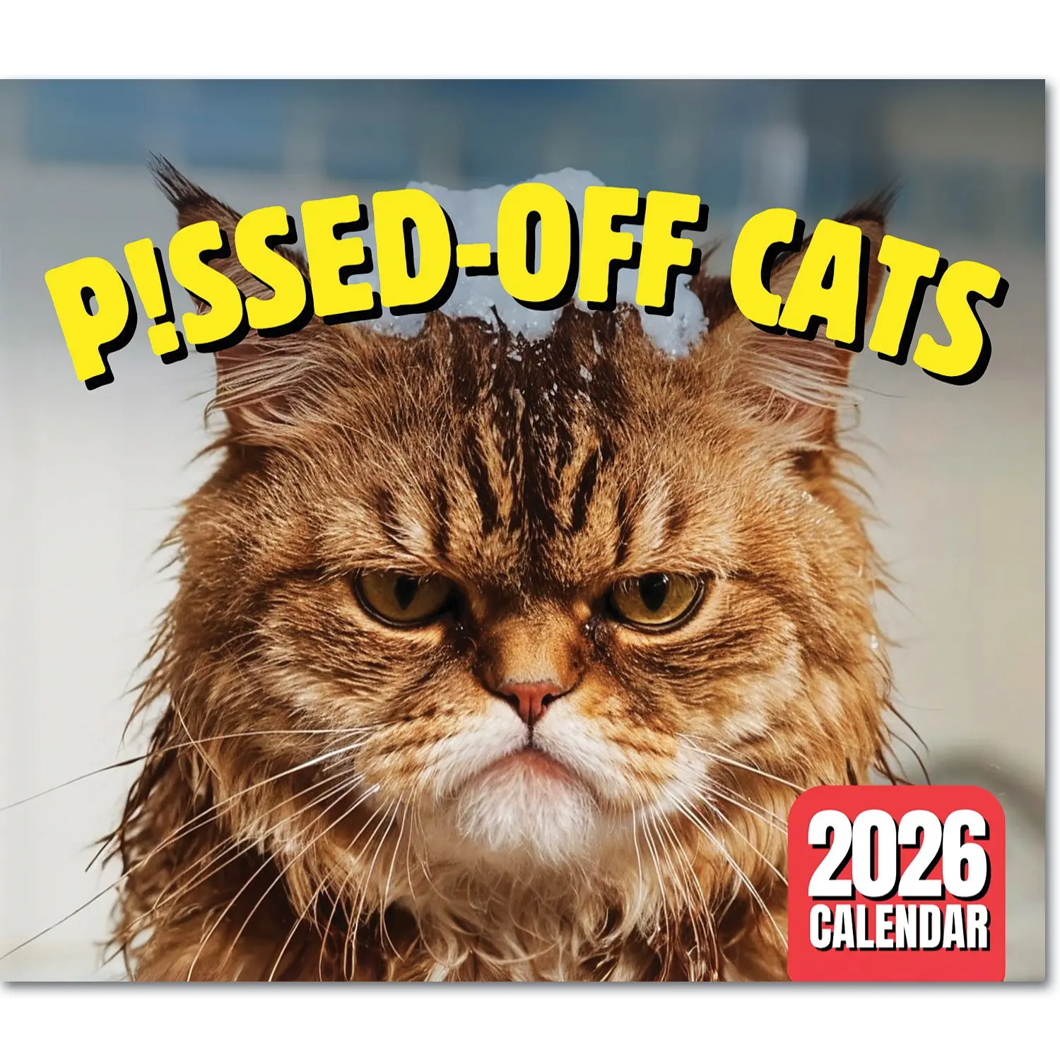 Pissed Off Cats Calendar 2026 - Funny Cat Memes, Gifts for Cat Lovers