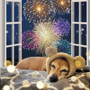 Ruffmuffs - noise reducing earmuffs for dogs. for quiet ears/ traveling/fireworks/loud noises