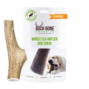 Buck Bone Organics Large Whole Elk Antler Dog Chew for Dental Health