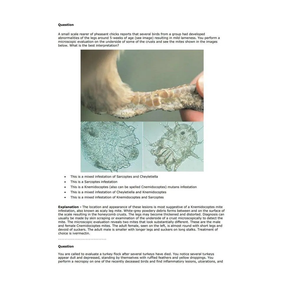 Ultimate Poultry NAVLE Questions Bank for NAVLE Prep - Comprehensive NAVLE Prep Guide - Navle Exam Question with Answers - 177 Pages