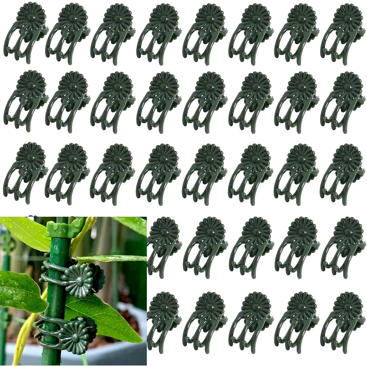 100 count Large  Clip,Daisy Garden Flower  Clip,for Orchids Vine Clip Support Stem Vine Upright Growth (Green)