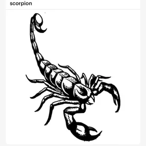 Scorpion car decal