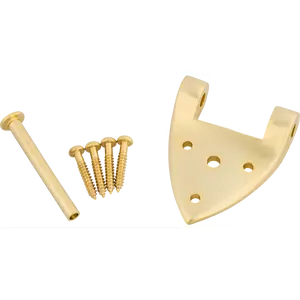 Bigsby B3/6C Gretsch Hinge with Hinge Pin and Screws, Gold