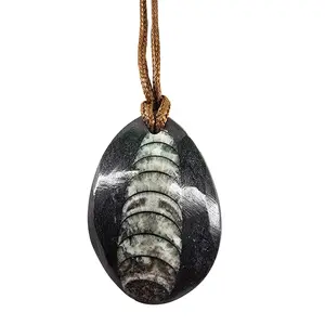 Orthoceras Pendant | Ancient Fossil Drilled Necklace | Comes With Adjustable Wax Cord Necklace