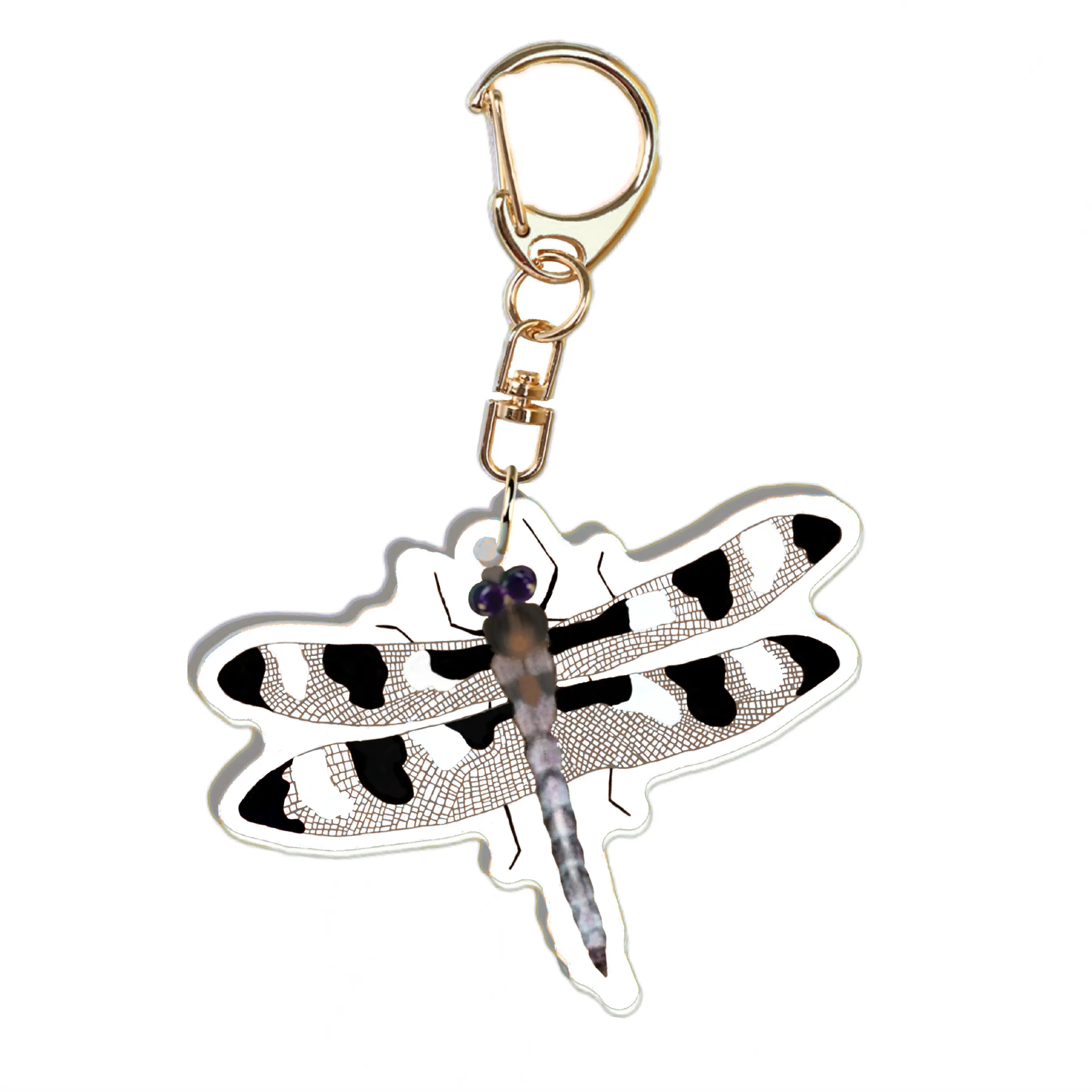 KT Key Chain Creations Realistic Twelve-spotted Skimmer Dragonfly Acrylic Keychain - Lobster Clasp, Double-Sided, with 5 Educational Fun Facts Tag for Nature Lovers