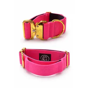 Dog Collar 3.8 inch – Cane Corso, Pitbull & Rottweiler