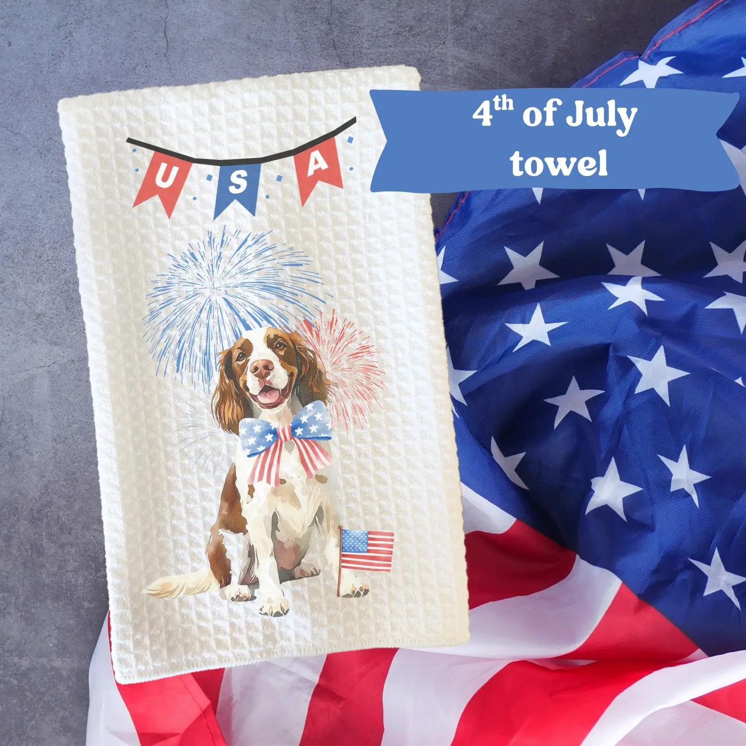 English Springer Spaniel