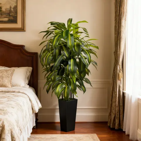 5FT-6FT Decorative Artificial Dracaena Tree - Realistic Fake Plant with Multiple Stems, Black/White Planter, Minimalist Contemporary Decor, Ready-to-Display Indoor Floor Accessory for Busy Homes, Housewarming Gift