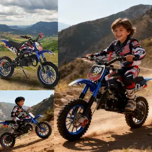 Toy's Bike Toy's Bike