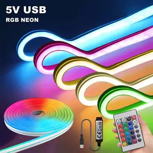 USB Powered RGB Color Changing Neon Light, Remote Control & APP Control, Multi-Purpose Home Decor, Party & Holiday Atmosphere Lighting