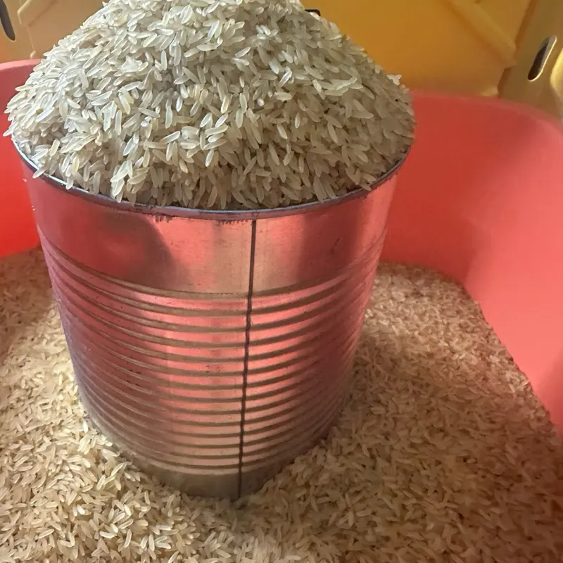 Haitian Diri Shella