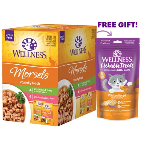 Wellness Healthy Indulgence Morsels Variety Pack Adult Wet Cat Food, Natural, Protein Rich, Grain Free, 2 Flavors, 3 oz, Pack of 8 Pouches