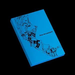 ENHYPEN - THE SIN: VANISH [STORM Ver.]  [COMPACT DISC - CD] Photos, Stickers