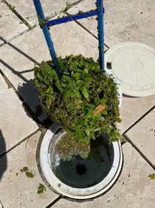 The Skimmy Hook - Remove Swimming Pool Skimmer Lids and Baskets with Easy Grip Design - Sports & Outdoor