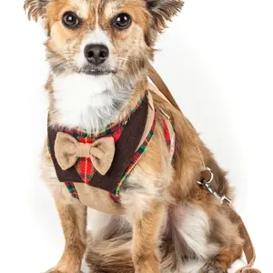 Pet Life  Luxe 'Dapperbone' 2-In-1 Adjustable Fashion Dog Harness and Leash