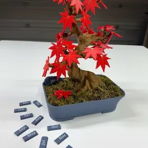 Bonsai 365 Tree Calendar - Japanese Maple Calendar for Your Desk with Monthly Features and Decorative Design