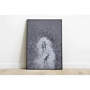 Shark Reef Sea Water Animal Predator Ocean Nature | Room Wall Art Decor | Print On Paper | No Frame