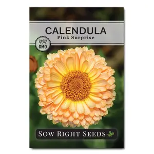 Pink Surprise Calendula Seeds