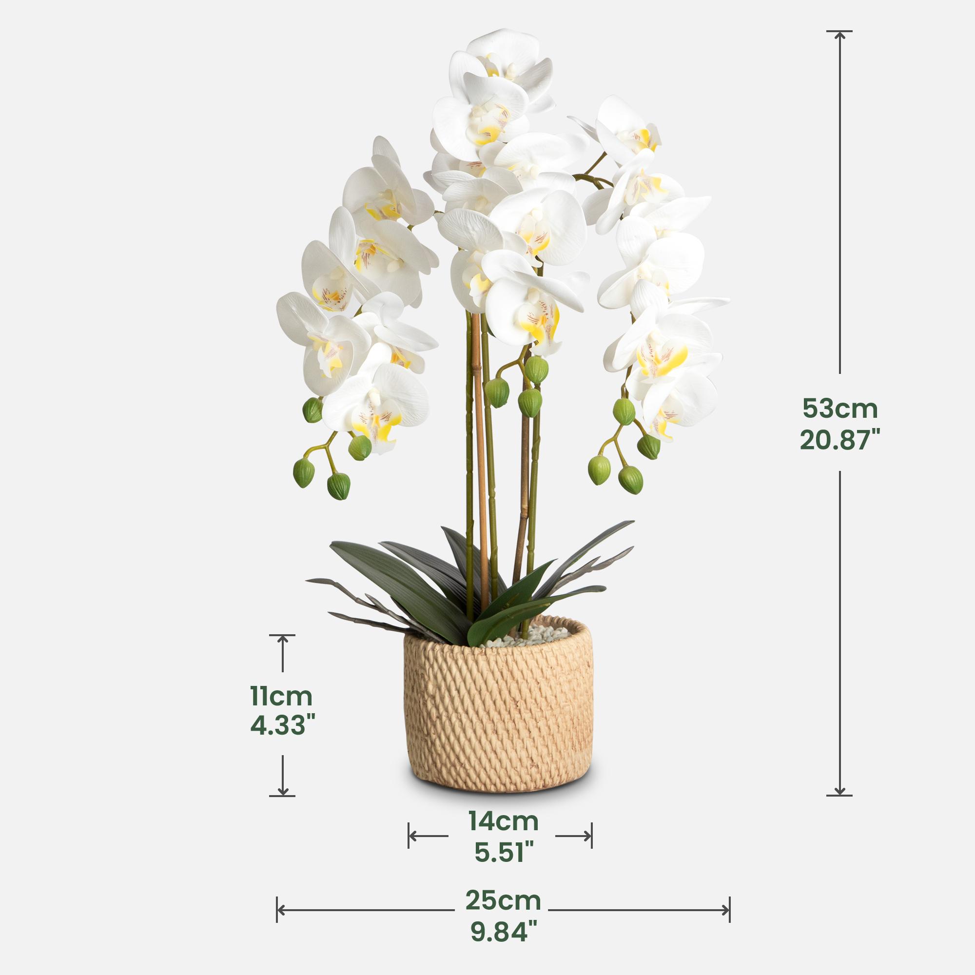 Porch decor.ennva ceramic potted artificial orchid flowers, white faux phalaenopsis for table decoration, realistic artificial flower ornaments suitable for home and office interior decoration