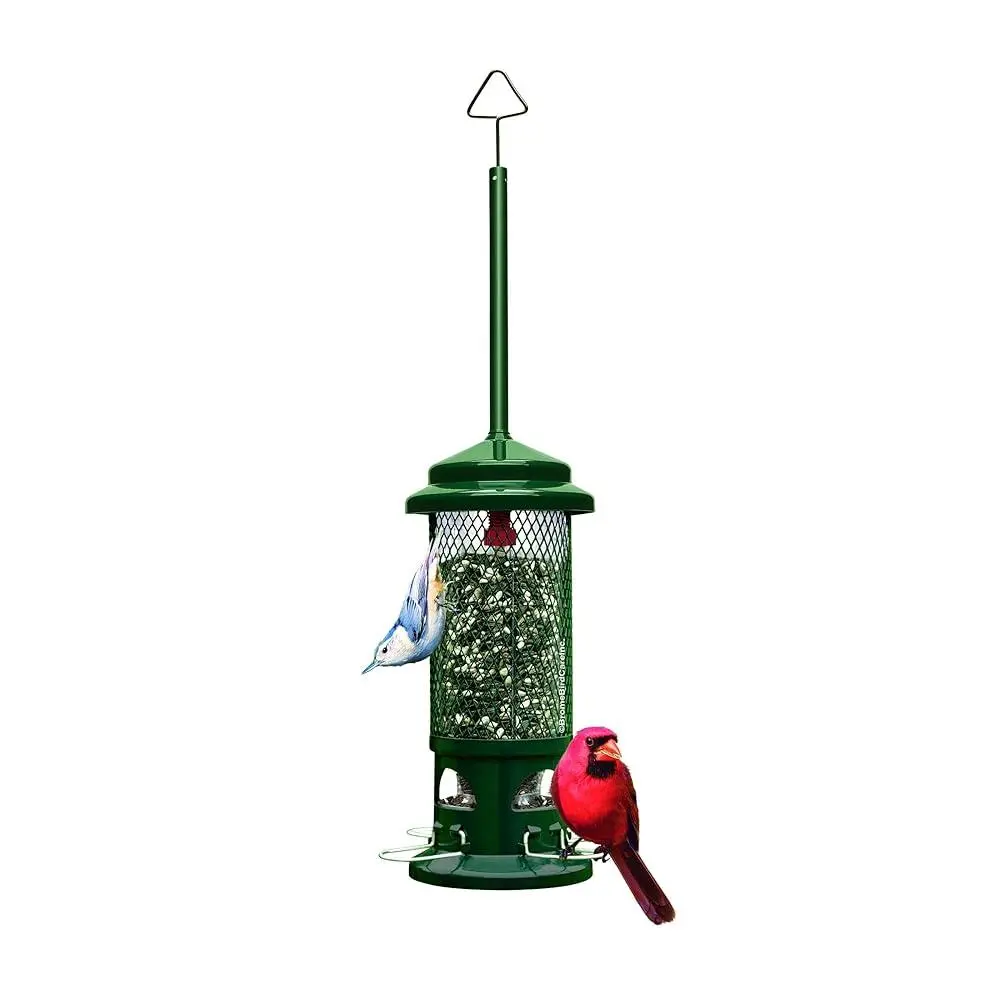 Squirrel Buster Standard Bird Feeder For Garden With Squirrel-Proof Design And 4 Metal Perches 1.3-Pound Seed Capacity Durable Feeder With Weight Sensitive Perches