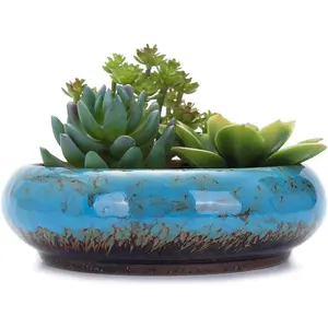 7.3 inch Round Large Shallow Succulent Ceramic Glazed Planter Pots with Drainage Hole, Bonsai Pots Garden Decorative Cactus Stand Flower Container (blue)