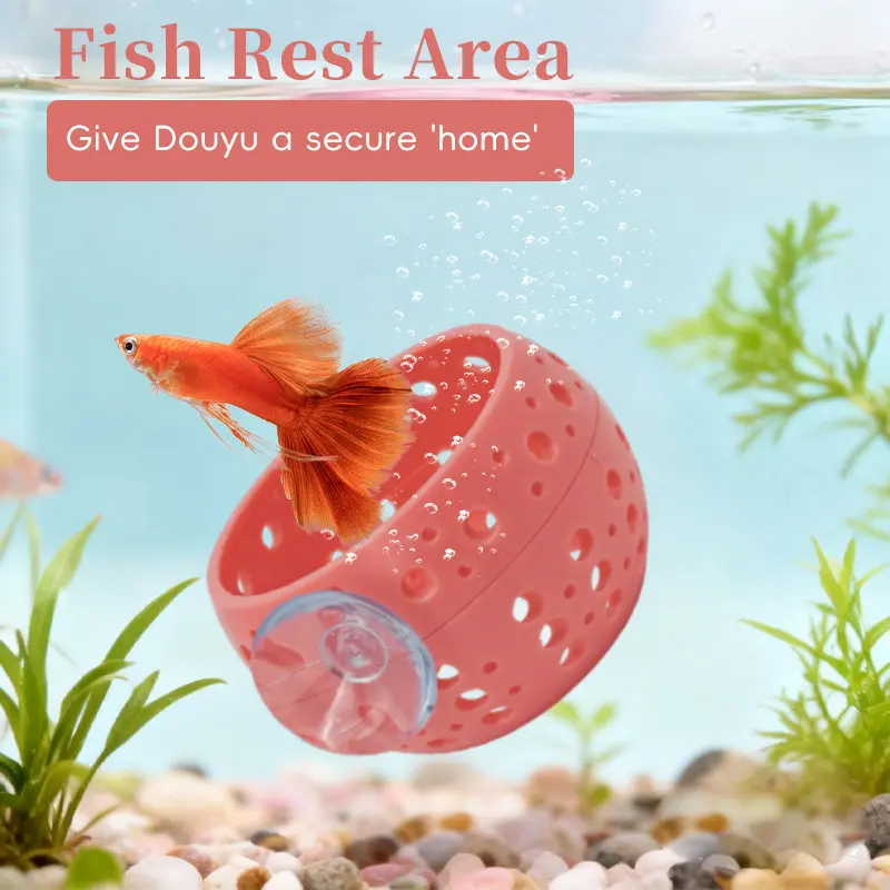 New Arrival Fish Rest Room Cave Rest Room with Suction Cups Hidden Aquarium Plastic Aquatic Tank Decorations, Fish Tank Accessories, Aquarium Supplies - TikTok Shop New Arrival Fish Rest Room Cave Rest Room with Suction Cups Hidden Aquarium Plastic Aquatic Tank Decorations, Fish Tank Accessories, Aquarium Supplies - TikTok Shop