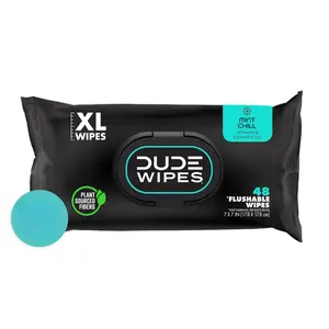 DUDE Wipes - Toilet Flushable Wipes - 1 Pack, 48 Wipes - Mint Chill Extra-Large Adult Wet Wipes - Eucalyptus & Tea Tree Oil - Sewer and Septic Safe