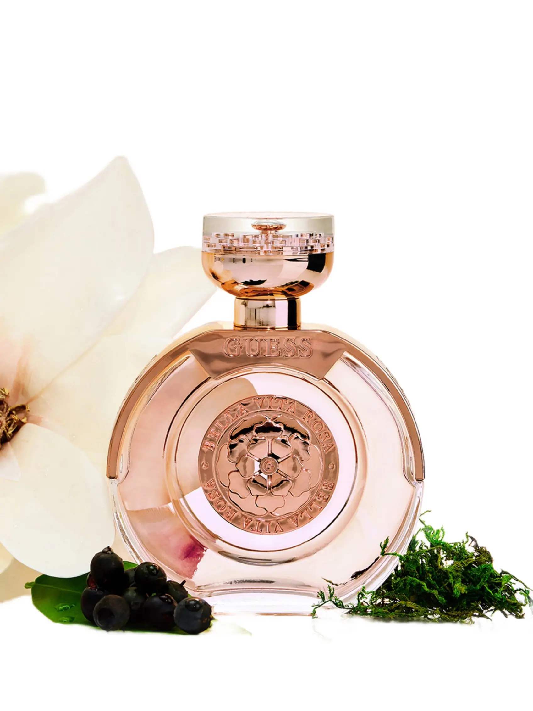 GUESS Female GUESS Bella Vita Rosa, 3.4 oz