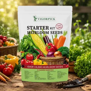 [Popular Choice] Collectible Seed Vault Kit - 35 Variety Pack for Field Growing & Planting Survival Seeds Wild Heirloom Vegetable Mix Fine Gardening Gift for Any Field Garden