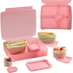 Bentology Leak-proof Bento Lunch Box with 5 Removable Containers (Translucent Pink)