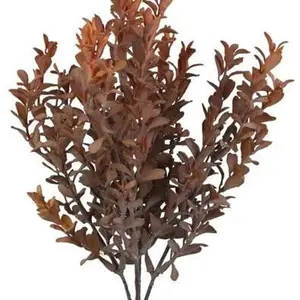 12.5"L Boxwood Bush Rust/Orange
