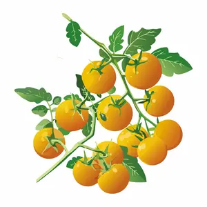 Tropical Sunset Pole Cherry Tomato