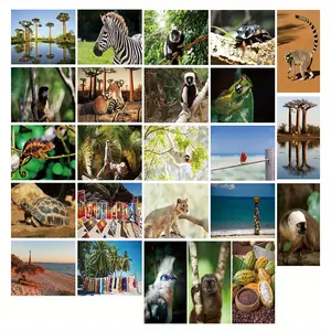 24-Pack Madagascar Wonders Postcards 4x6 Inch, Exotic Wildlife & Landscapes on 300gsm Cardstock - Safari Wall Art, Ecotourism Decor, Nature Journaling & Adventure Gift Collection