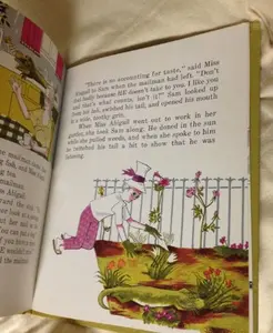 USED-Days and days of Darling Sam by Lorrie McLaughlin (Hardcover)