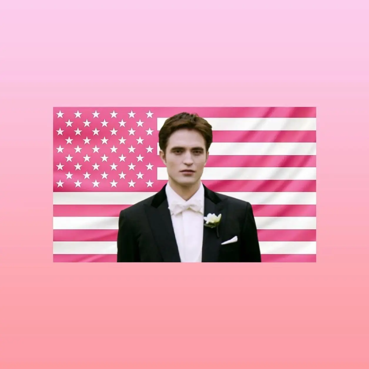 Edward Cullen Pink American Flag Tapestry – Twilight Wall Art Decor | Vampire Romance Fan Flag | Aesthetic Pink Bedroom Decor