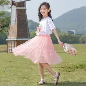 Pink |           Transparent Tulle Fluffy Mesh Layered Pink Princess Puffy Skirt Girl |             Moderate Length Summer Sheer Skirt with Bow Detail, Elastic Waistband |             Suitable for parties, performances and casual outings