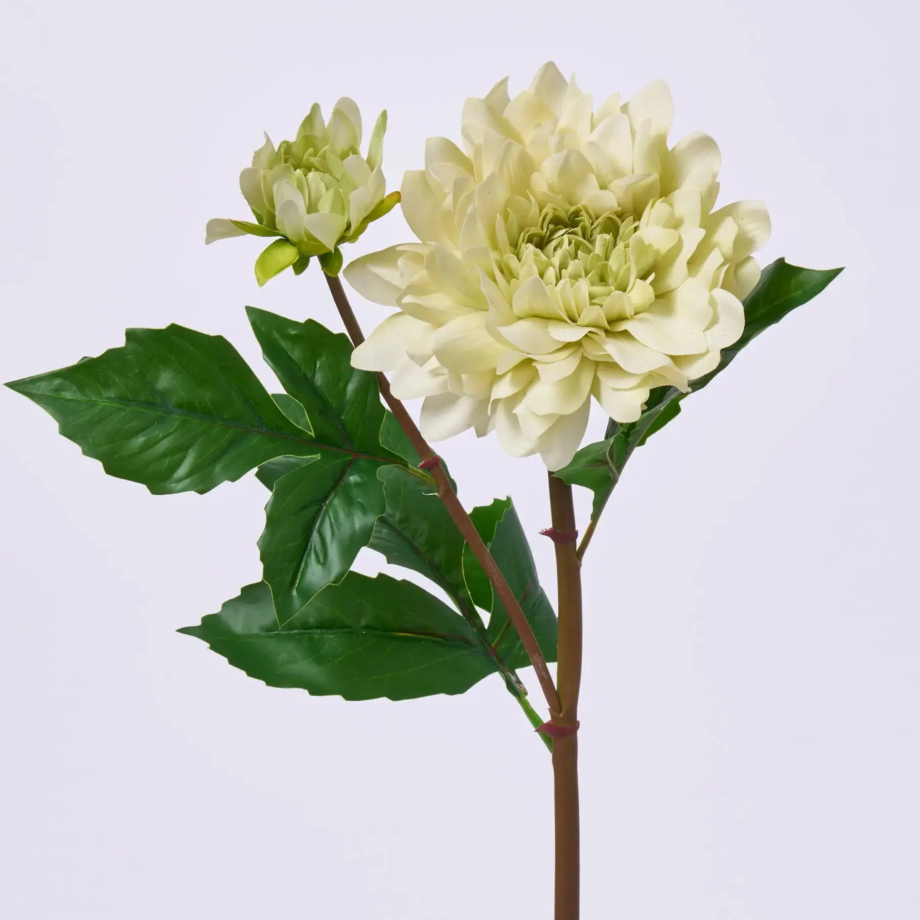 Pale Avocado Green Real Touch Dahlia Bloom & Bud Spray Single Faux Floral Stem Spray  - 21"