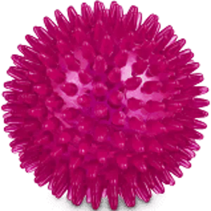 Gnawsome™ 4.5” Spiky Squeaker Ball Dog Toy