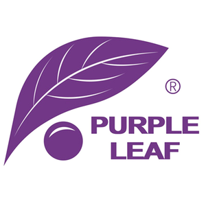 PURPLE LEAF