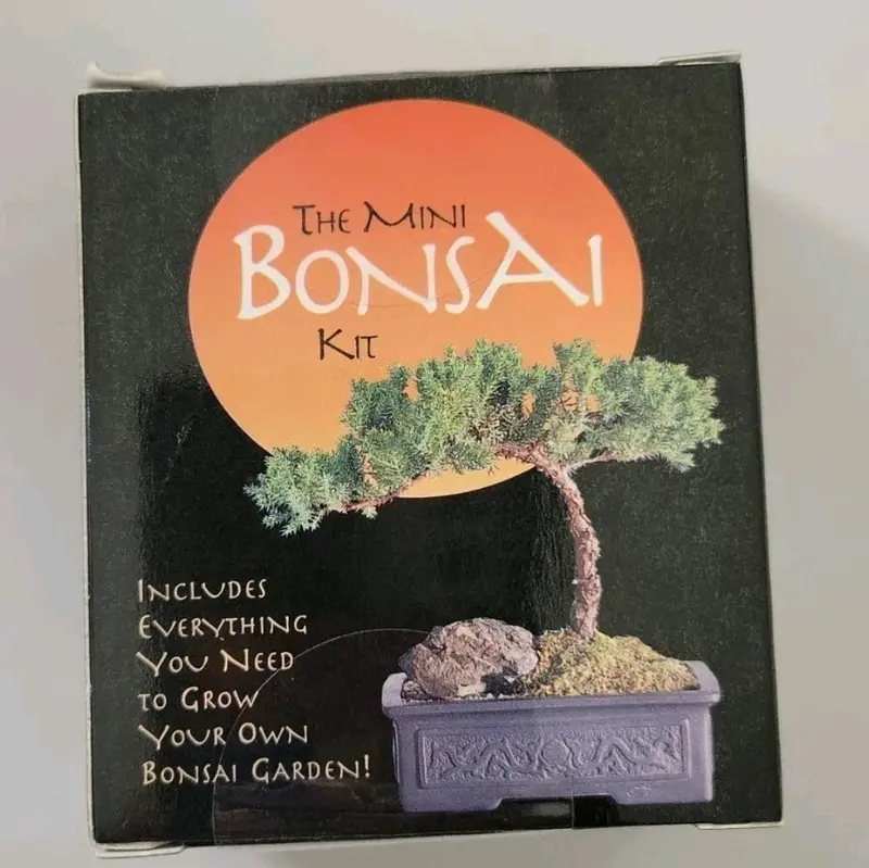 smallest bonsai tree - TikTok Shop