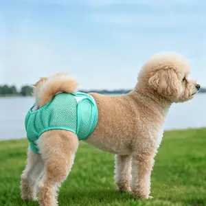 New Pet Female Dog Period Pants in 5 Colors, Comfortable, Leak-proof, and Breathable. Anti-harassment Modesty Pants, Reusable Dog Menstrual Pants, Dog Diapers. Suitable for Small, Medium, and Large Dogs. for All Seasons
