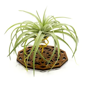 Wire Air Plant Holder 6 - Unique Plant Display Stand // Geometric Modern Wood Home Decor Table Shelf Desk Plant Lover Gift Idea