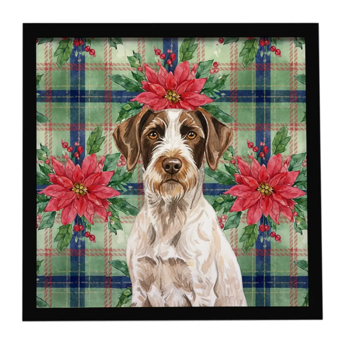 Carolines Treasures WDK8649MFP88 8x8 in. Aluminium Wall Framed Metal Print, Liver & White German Wirehaired Pointer Christmas Poinsettias Flowers Artwork, Hanger-Included Home Decor Gift