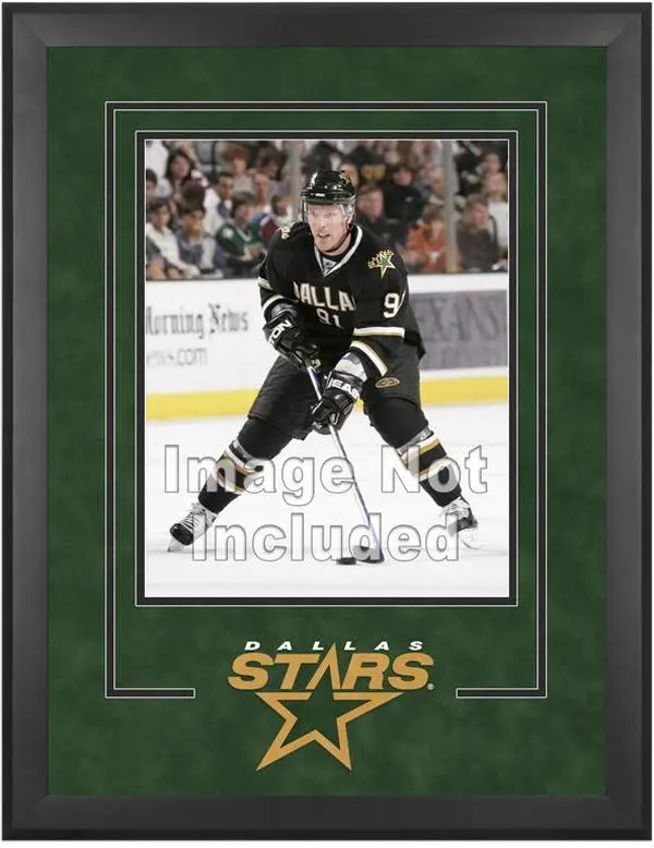 Dallas Stars Deluxe 16" x 20" Vertical Photograph Frame - Fanatics Authentic Certified
