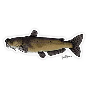 Channel Catfish Decal