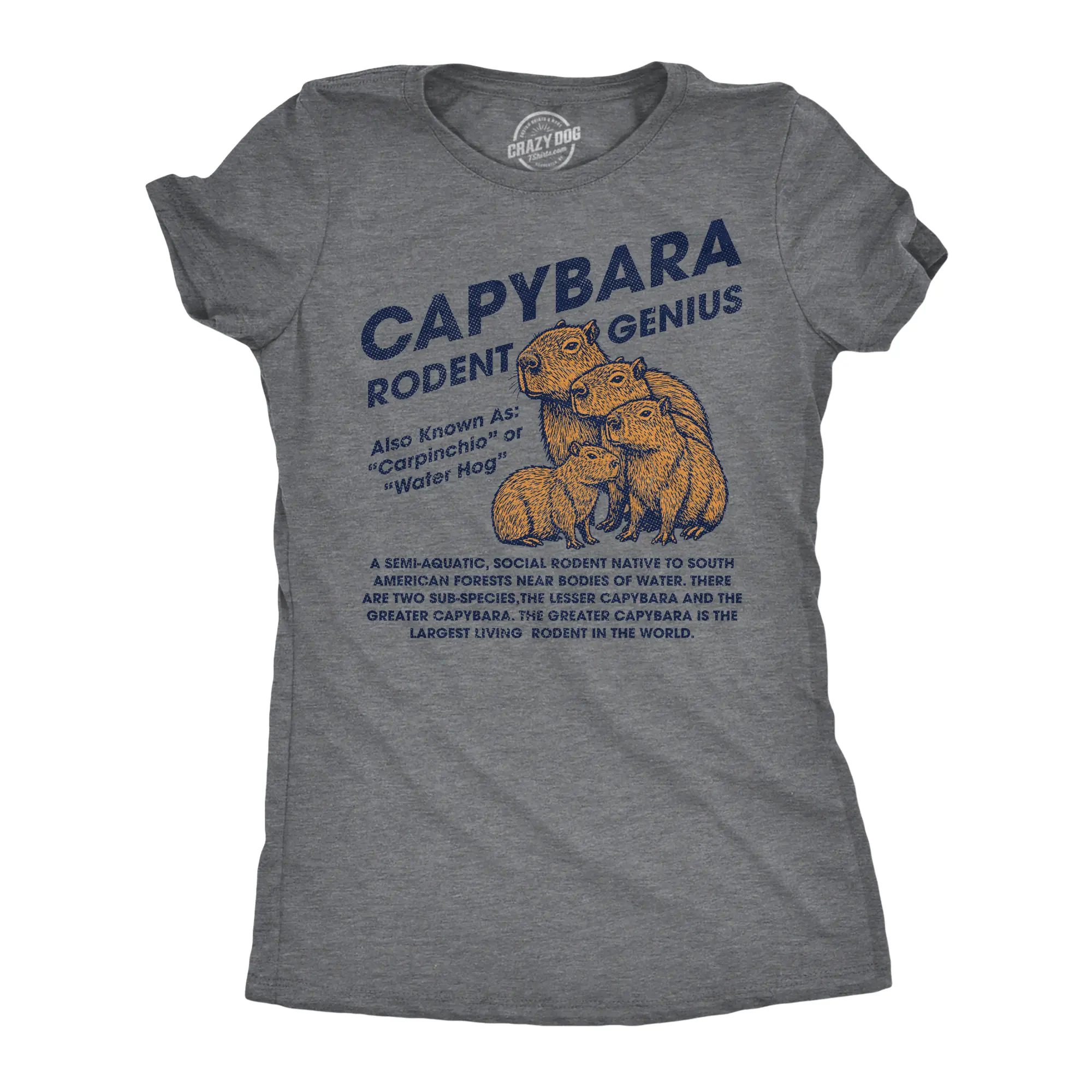 Womens Funny T Shirts Capybara Rodent Genius Sarcastic Graphic Novelty Tee For Ladies Funny Womens T Shirts Cute Vintage Fashion Casual Ladies T-Shirt Gift Funny Animal Top Women's Novelty Tees Dark Grey